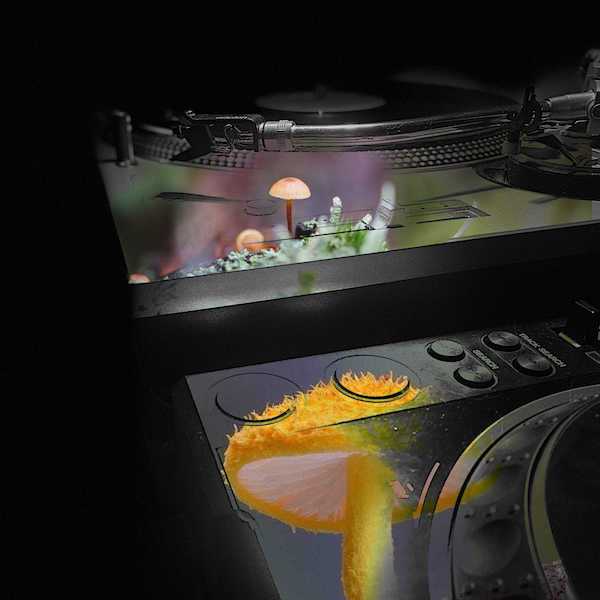 OpenLab Show - Mushroom Jazz 05 – Mark Farina