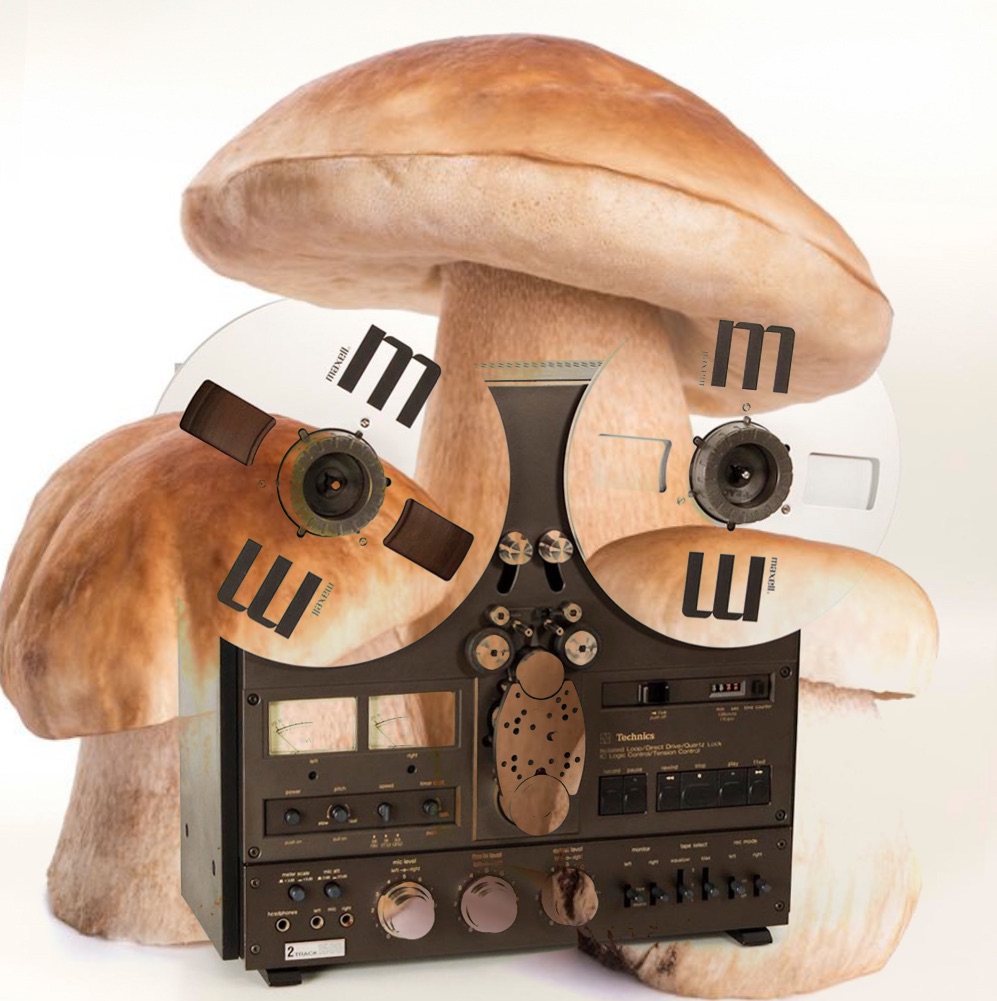 OpenLab Show - Mushroom Jazz 15 – Mark Farina