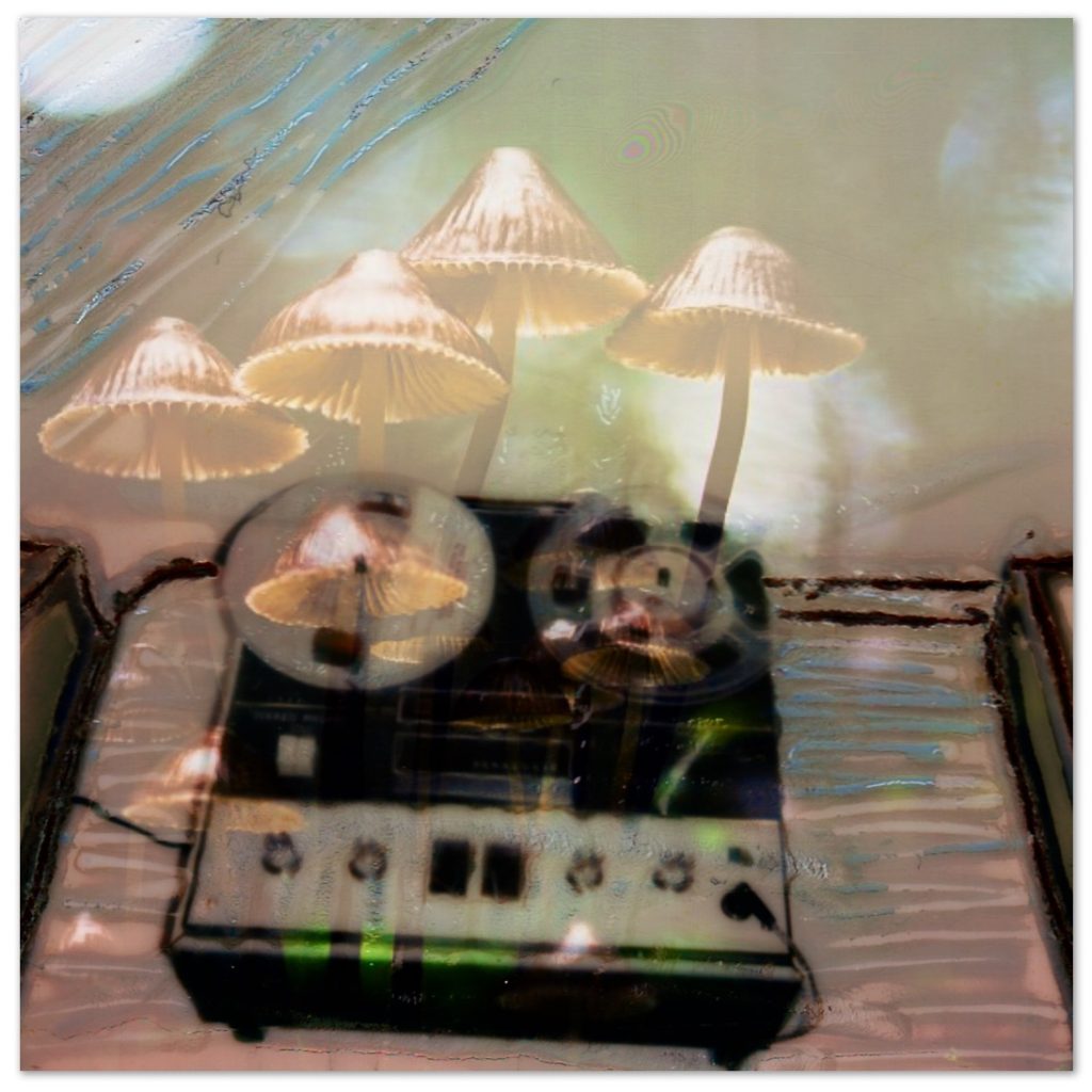 OpenLab Show Mushroom Jazz 16 Mark Farina