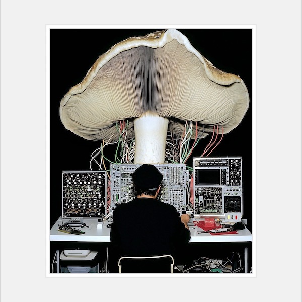 OpenLab Show - Mushroom Jazz 26 – Mark Farina